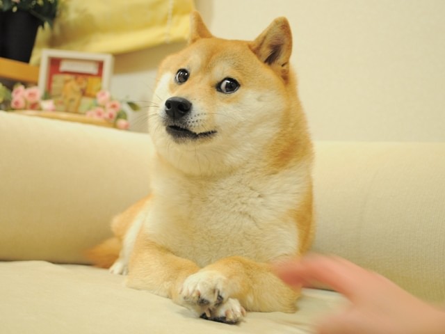 soge